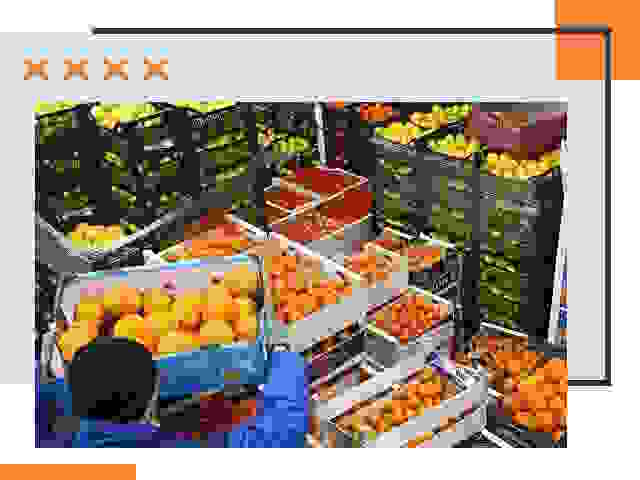 Перевозка скоропортящихся продуктов в Рассказово